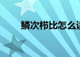 鳞次栉比怎么读（鳞次栉比的意思）