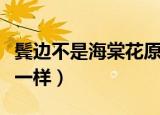 鬓边不是海棠花原著（原著跟电视剧有什么不一样）
