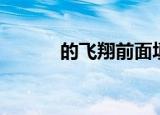 的飞翔前面填什么词语（的飞）