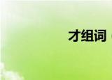 才组词（才如何组词）