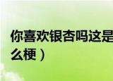 你喜欢银杏吗这是什么梗（你喜欢银杏吗是什么梗）