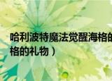 哈利波特魔法觉醒海格的礼物选哪个（哈利波特魔法觉醒海格的礼物）