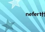 nefert什么意思（nef）
