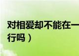 对相爱却不能在一起的人说的话（相爱的话不行吗）