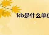 kb是什么单位意思（kb的简介）