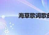 海草歌词歌曲（海草歌曲简介）