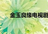 金玉良缘电视剧剧情（简单介绍一下）