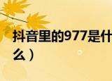 抖音里的977是什么意思（抖音里的977是什么）