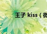 王子 kiss（微笑王子的kiss魔法）