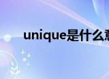 unique是什么意思啊（unique解释）