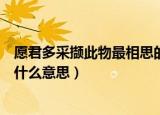 愿君多采撷此物最相思的意思（诗句愿君多采撷此物最相思什么意思）