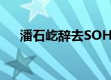 潘石屹辞去SOHO中国董事会主席职务