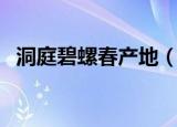 洞庭碧螺春产地（洞庭碧螺春产地在哪里）
