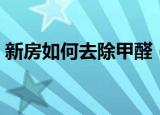 新房如何去除甲醛（新房除甲醛有哪些办法）