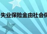 失业保险金由社会保险经办机构按月发放对吗