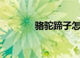 骆驼蹄子怎么做（骆驼蹄子）
