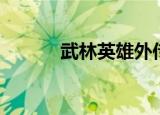 武林英雄外传（武林英雄外挂）