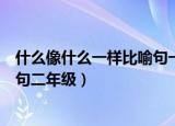 什么像什么一样比喻句一二年级（什么像什么一样什么比喻句二年级）