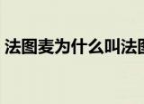 法图麦为什么叫法图麦（法图麦是什么意思）
