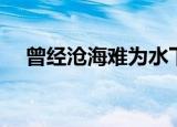 曾经沧海难为水下一句（下一句请查收）