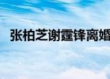 张柏芝谢霆锋离婚真相（到底是因为什么）