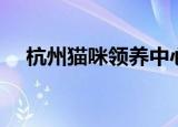 杭州猫咪领养中心官网（杭州猫咪领养）