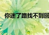 你迷了路找不到回家的路的话（你迷了路）