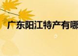 广东阳江特产有哪些（广东阳江特产介绍）