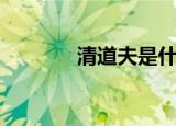 清道夫是什么（清道夫介绍）