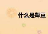 什么是肾豆（肾豆是什么意思）