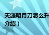 天涯明月刀怎么升级快（天涯明月刀升级方法介绍）