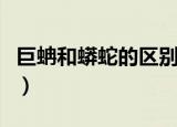 巨蚺和蟒蛇的区别（巨蚺和蟒蛇的区别有哪些）