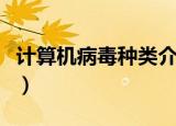 计算机病毒种类介绍（计算机病毒种类有哪些）