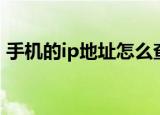 手机的ip地址怎么查（手机的ip地址如何查）