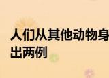 人们从其他动物身上获得了哪些启示请你再举出两例