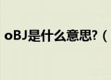 oBJ是什么意思?（obj是什么意思网络用语）