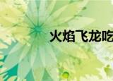 火焰飞龙吃什么（火焰飞龙）