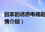 回家的诱惑电视剧剧情（回家的诱惑电视剧剧情介绍）