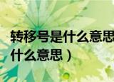 转移号是什么意思（王者荣耀的转移号到底是什么意思）