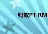 蚂蚁PT RMVB 下载（蚂蚁pt）