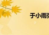 于小雨张昊（于小雨）