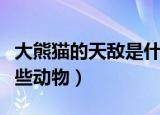 大熊猫的天敌是什么动物（大熊猫的天敌有哪些动物）