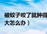 被蚊子咬了就肿得厉害怎么办（蚊子咬了肿很大怎么办）
