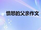 愤怒的父亲作文（愤怒的父亲作文范文）