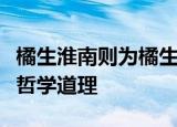 橘生淮南则为橘生于淮北则为枳出自哪篇文章哲学道理
