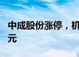 中成股份涨停，机构龙虎榜净买入2788.29万元