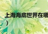 上海海底世界在哪里（上海海底世界简单介绍）