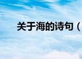 关于海的诗句（关于海的诗句有哪些）