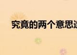 究竟的两个意思造句（究竟读音及解释）