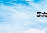  黑盒测试是什么
